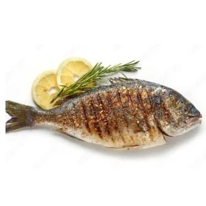 Fish Meal