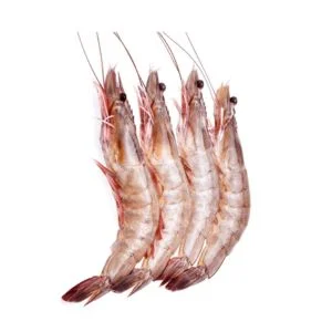 Jumbo Shrimp (10 pcs)